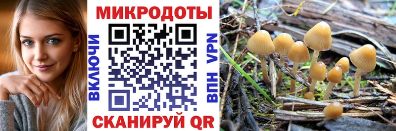 Псилоцибиновые грибы Magic Shrooms  Купить закладки  Арамиль 